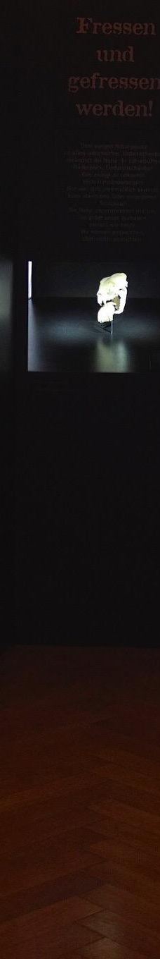 Museum MONREPOS-新维德