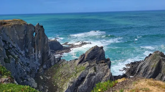 Cape Sardão