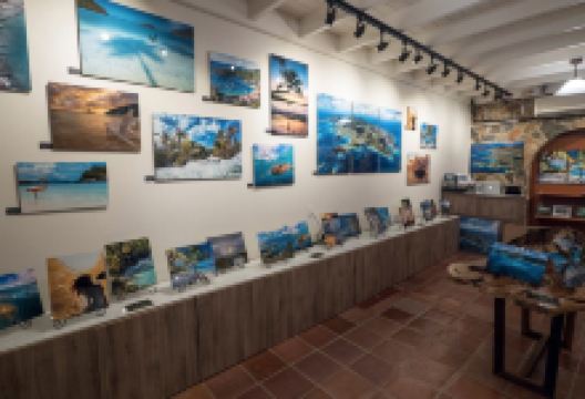 St John Experience Gallery景点图片