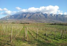Tenuta Macellaro Winery景点图片