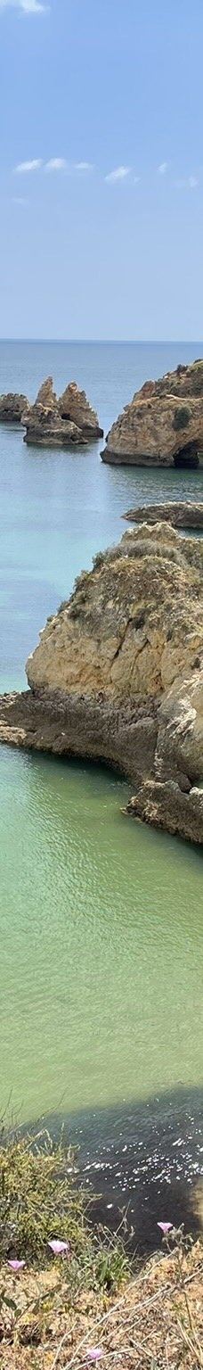 Praia do Alemao-波尔蒂芒