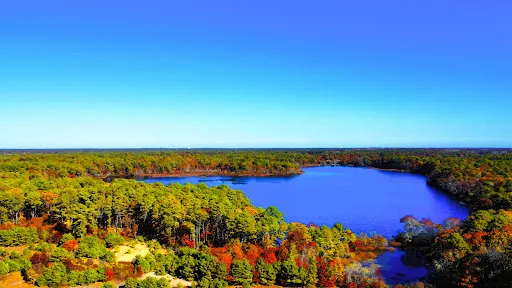 Bell's Neck Conservation Lands