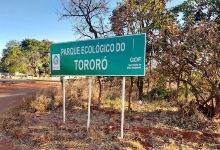 Parque do Tororó景点图片