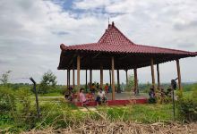 Bungur Pertanian Terpadu景点图片