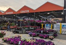 Garden Center at The Home Depot购物图片