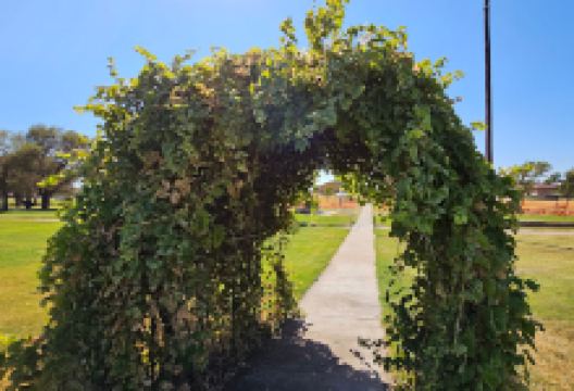 Huber Park景点图片