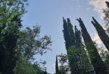 Fonte della Nocchia景点图片