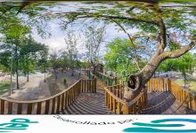 Parque las Palmas Vive Mejor景点图片