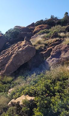 Vergenoeg Nature Reserve & Hiking Trail-Bojanala