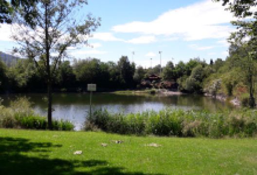 Mahnmal Unternehmen „Wüste“景点图片