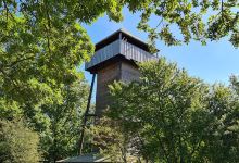 Aussichtsturm Borcheltsbusch - Kranichturm景点图片