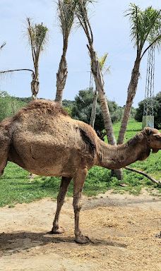 La Pequeña África-加的斯省