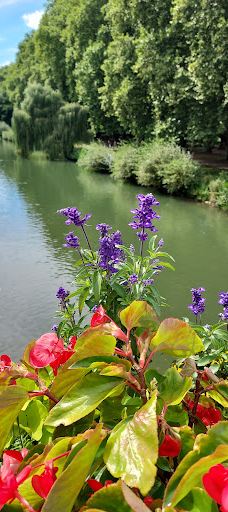 Neckarinsel-蒂宾根