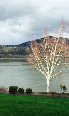 Port Marina Park-胡德里弗