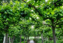 Park der Sinne景点图片