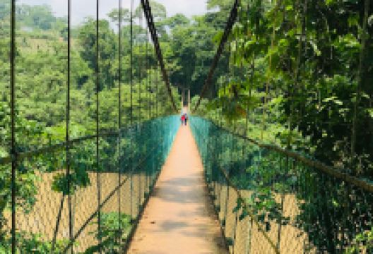 Cascadas De VillaLuz Puente景点图片