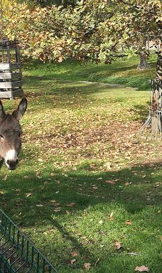 Freiberg Zoo-Mittelsachsen