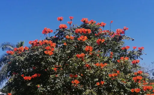 Parque de la Ciudad