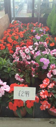 Rainbow Plant Centre-米德尔斯堡