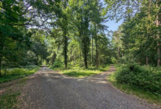 Notfallpunkt ROW -1185景点图片