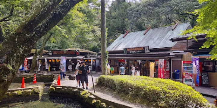 高千穗峽淡水魚水族館