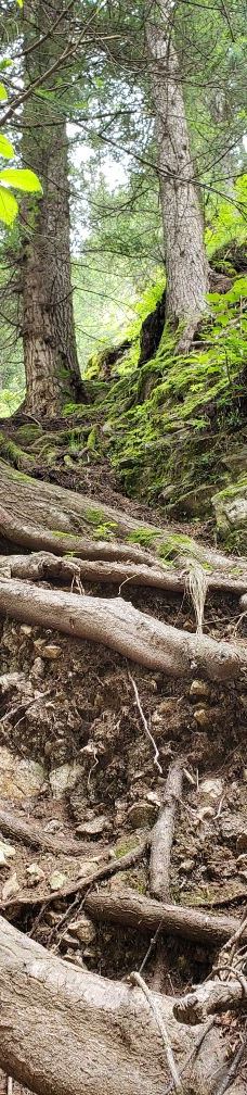 阿坝州纳摩大峡谷-若尔盖