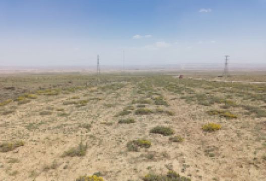 罗山国家级自然保护区-云青寺景点图片