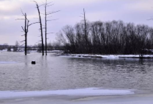 长白山国家级自然保护区-奶头河景点图片