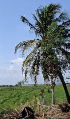 Keta Lagoon Protected Area-凯塔