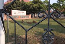 Kandang Rusa Pemda Jepara景点图片