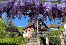 Local Museum Eglisau Eglisau Museum景点图片