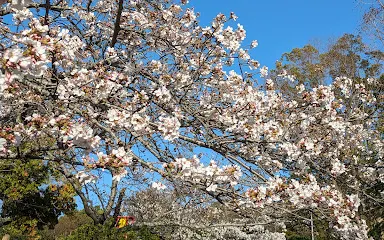 日岡山公園