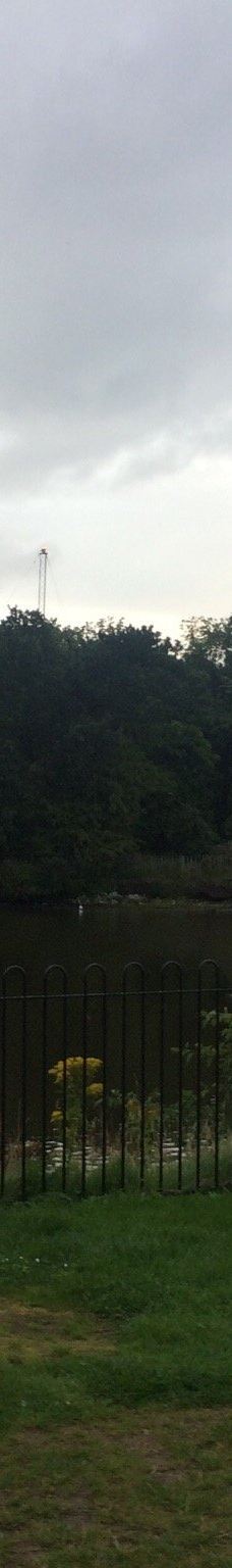 维多利亚公园-贝尔法斯特