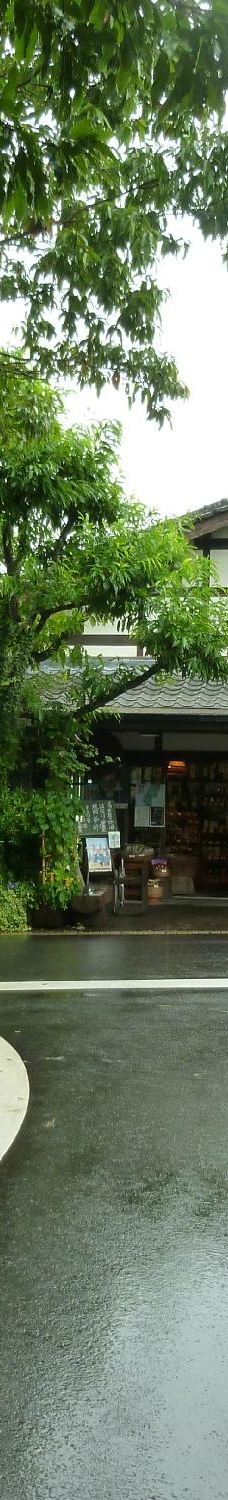 汤之坪街道-由布市