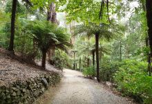 Alfred Nicholas Memorial Garden景点图片