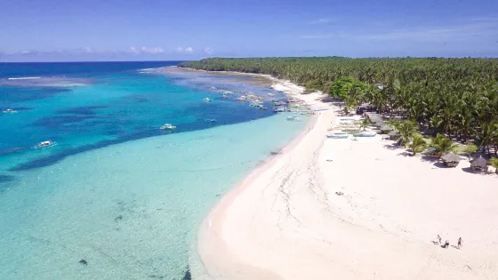 Dako Island