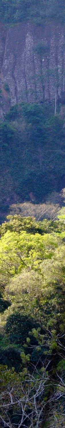 Amboro National Park-圣克鲁斯