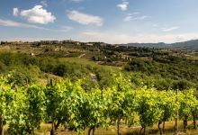 Podere L'Aja景点图片