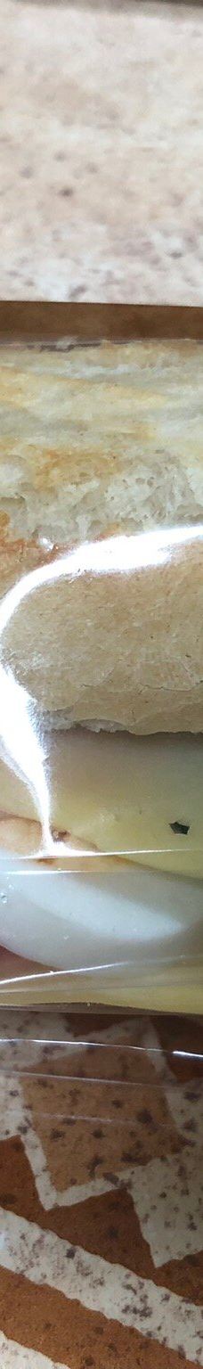 Family park Drievliet-海牙