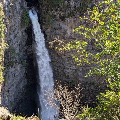 加拿大维多利亚+两大国家公园8日7晚跟团游