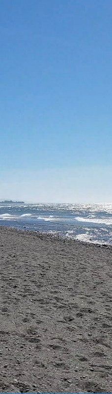 Paseo Maritimo de Estepona-埃斯特波纳