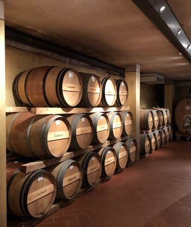 4D3N • Italy + Florence + Siena + Montepulciano + Tuscany + Cantalici Winery + Cattedrale di Santa Maria Asunta