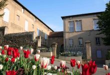 Castle de Roussillon景点图片