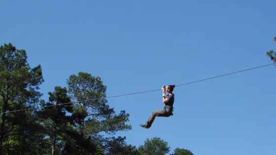 Treetop Quest