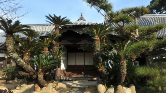 本蓮寺