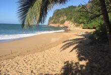 Anse Tillet景点图片