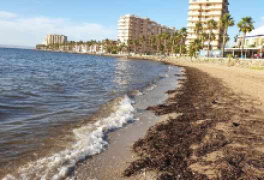 Playa Mistral景点图片