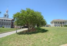 Coleman Hill park景点图片