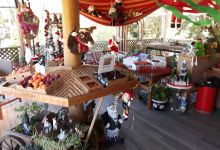 Cherrydale Orchard景点图片