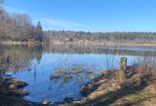 Lac de Bonlieu景点图片